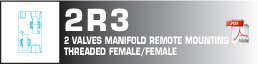 2 valves manfold remote mounting threaded female/female