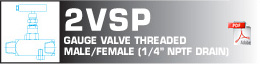 Gauge valve threaded male/female (1/4"NPTFdrain)