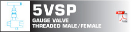 Gauge valve threaded male/female
